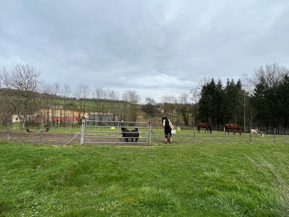 Le Hameau Du Peu Villa Châteauvieux Eksteriør billede